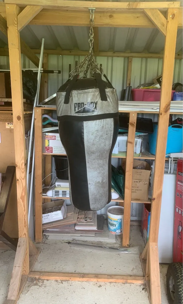 Gym Punching bag and weights - Image 2