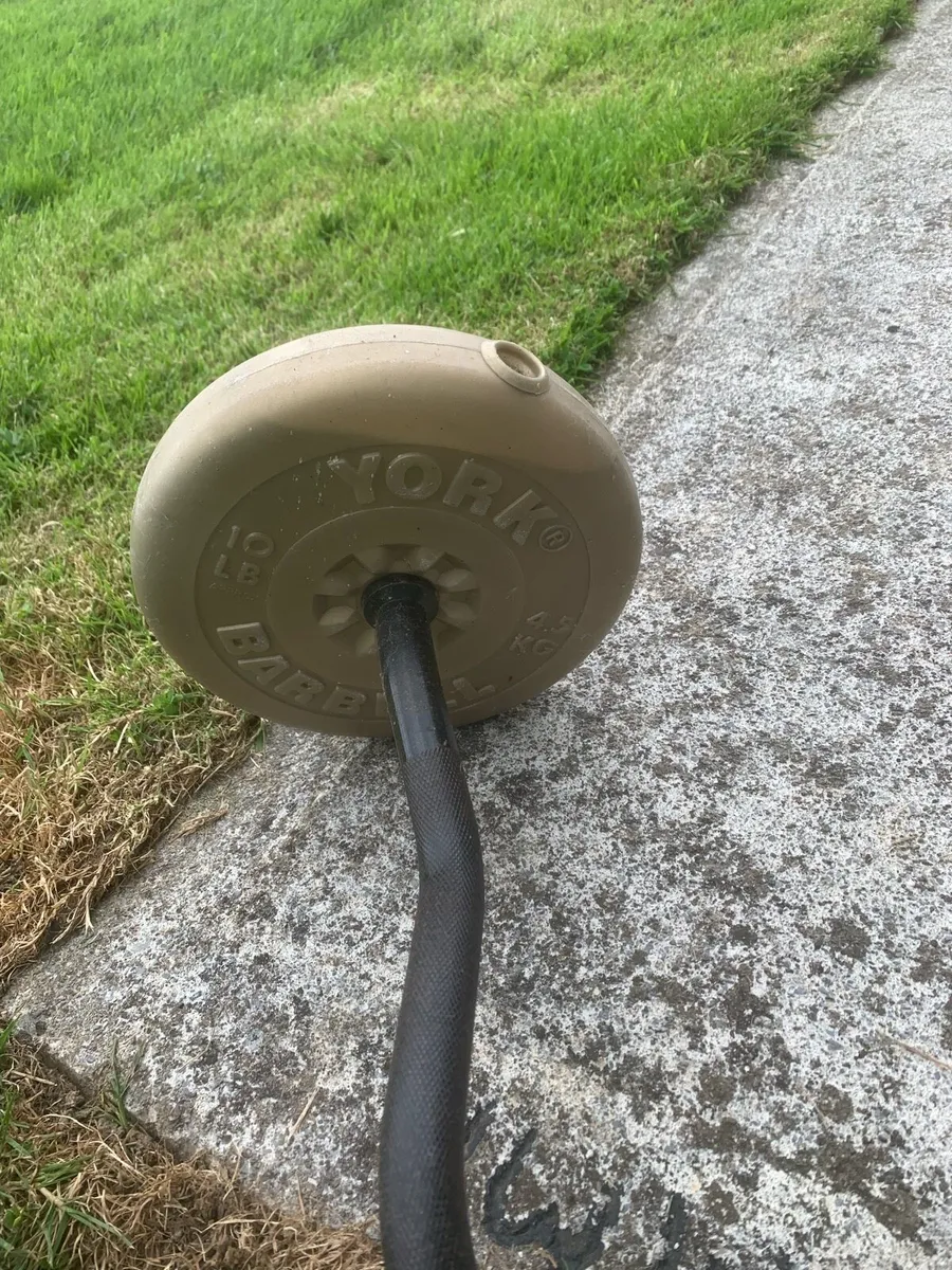 Gym Punching bag and weights - Image 4