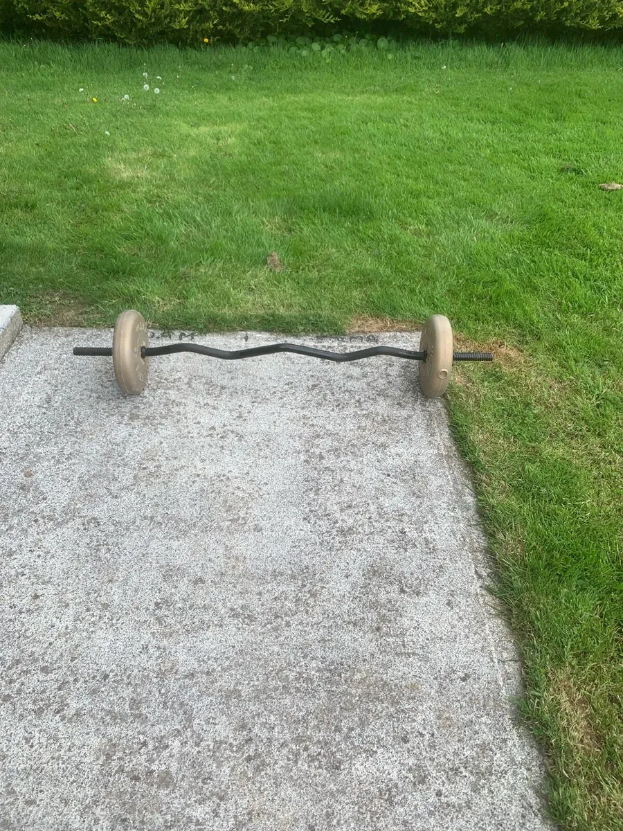 Gym Punching bag and weights - Image 3