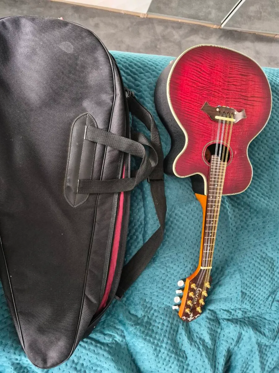 Mandolin - Image 2