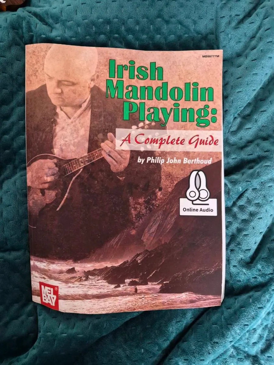 Mandolin - Image 4