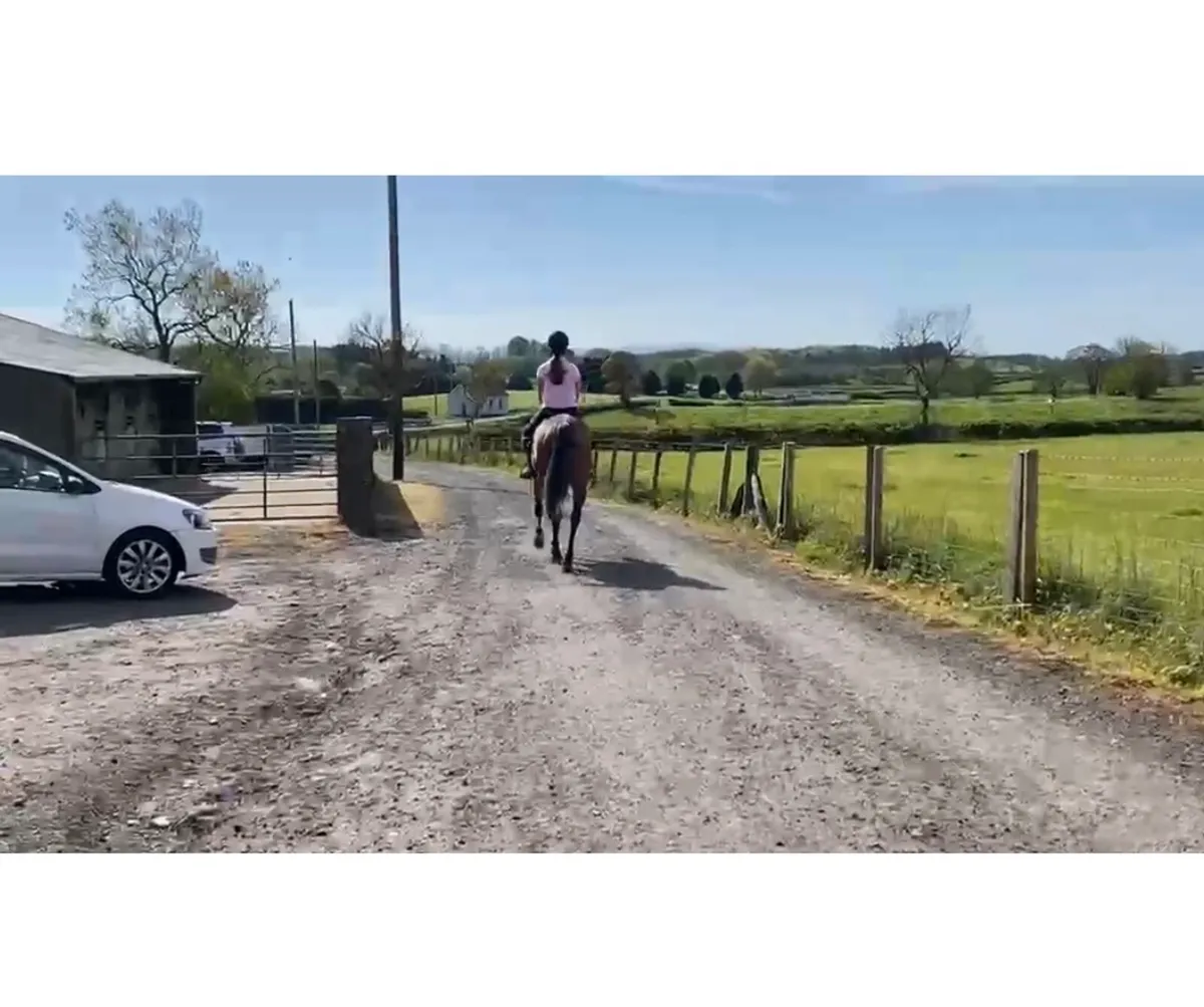 15.2 TB Mare - Image 4
