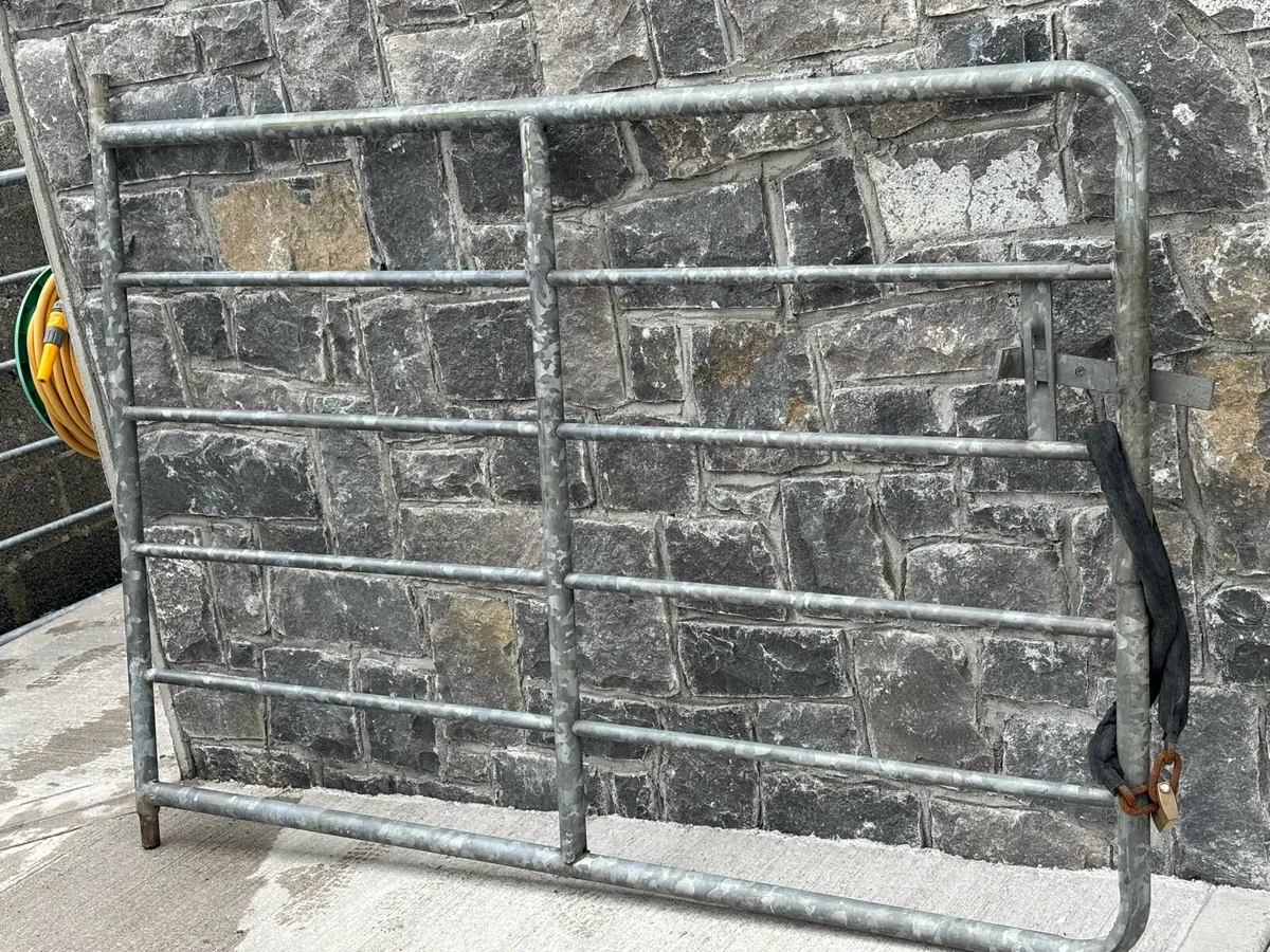10 ft galvanised gate new - Image 2