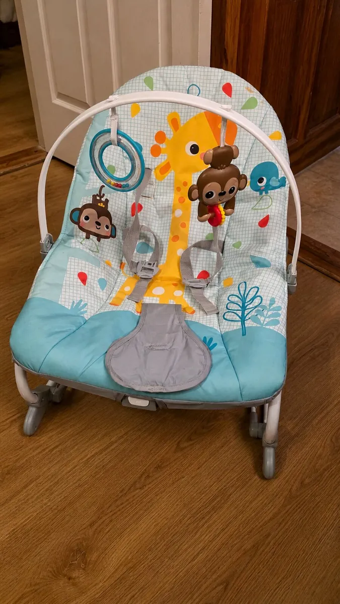 Bright Starts Baby to Toddler Rocker Wild Vibes - Image 2