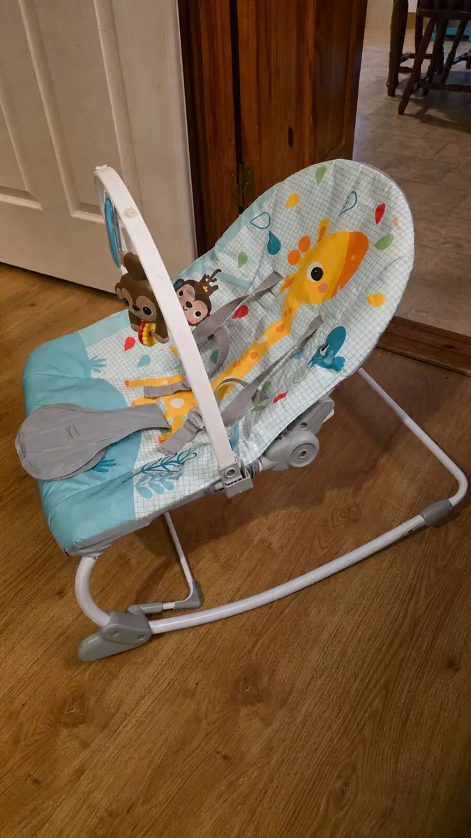 Bright Starts Baby to Toddler Rocker Wild Vibes - Image 1