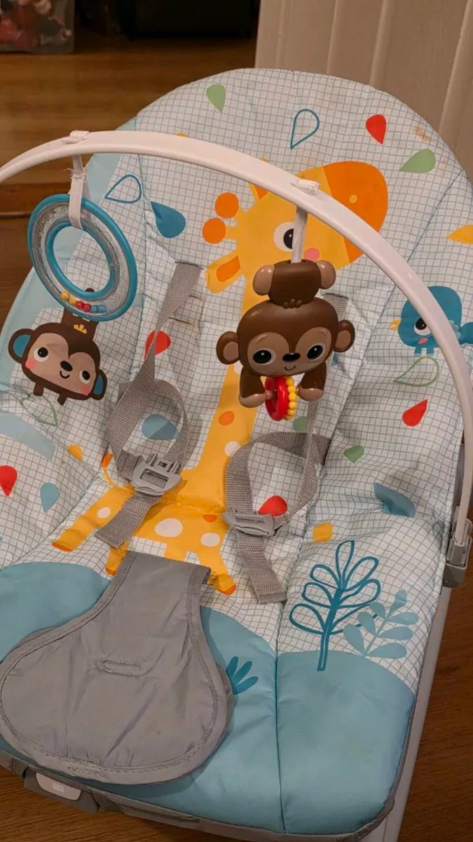 Bright Starts Baby to Toddler Rocker Wild Vibes - Image 3