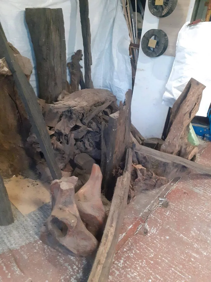 Bog Oak / Bog Pine - Image 2