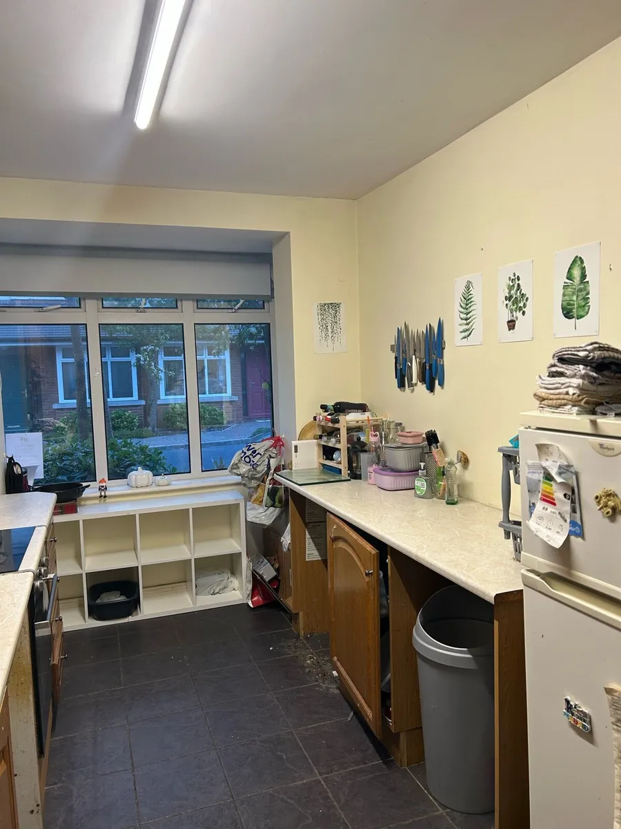 Kitchen and appliances - Image 4
