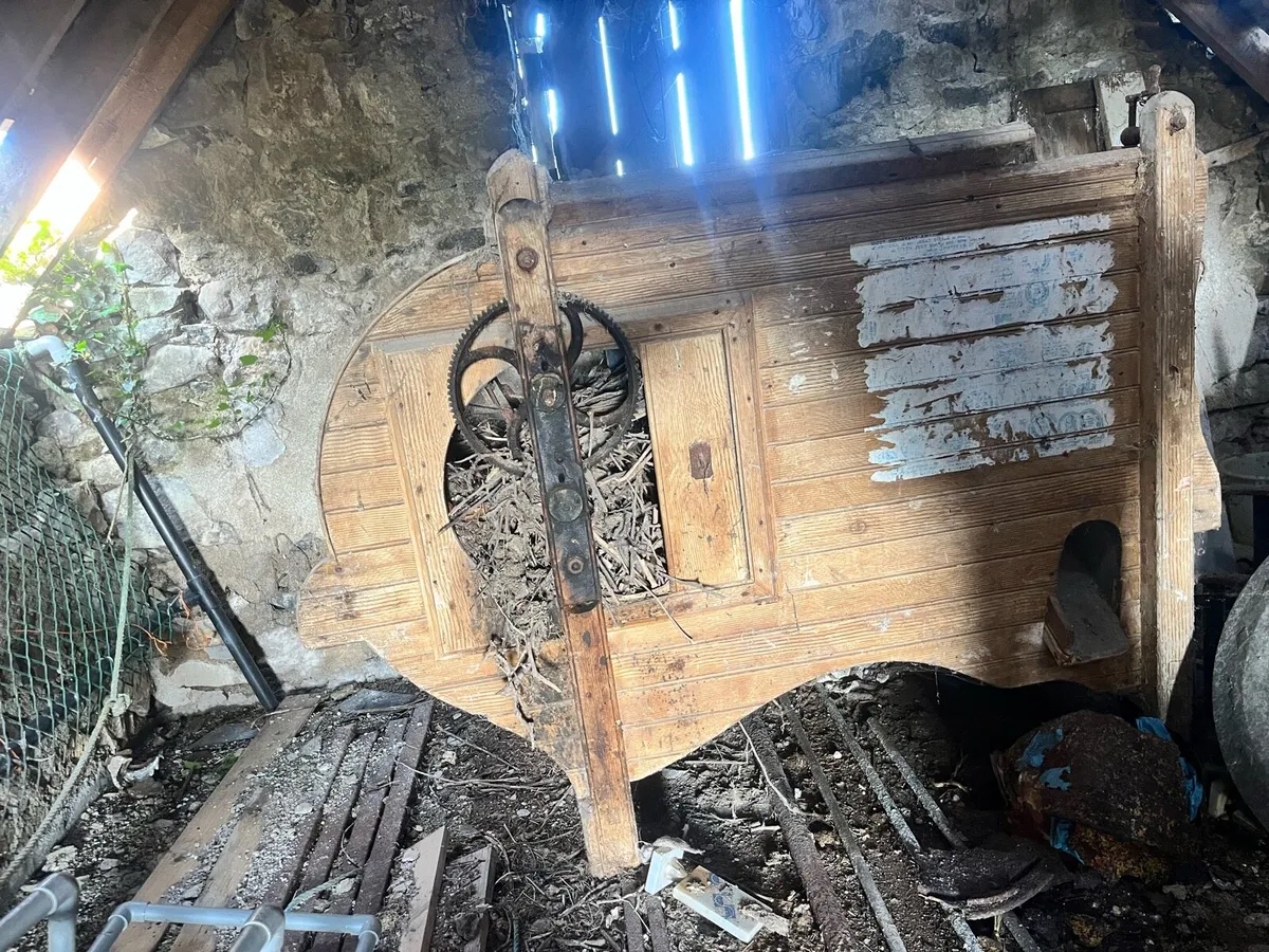 Winnowing machine