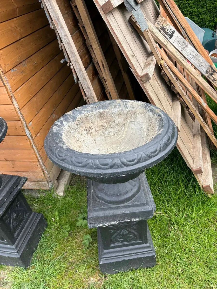 Concrete pots garden - Image 3