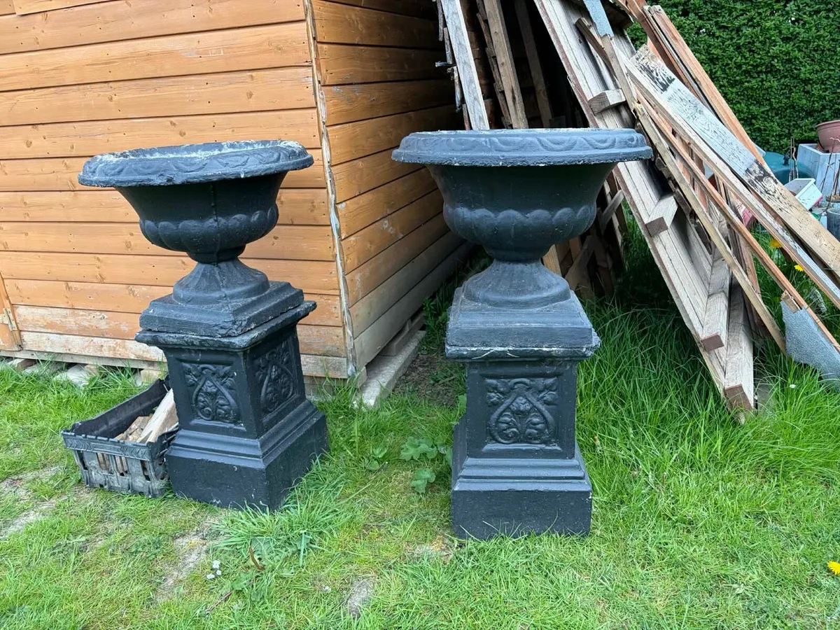 Concrete pots garden - Image 4
