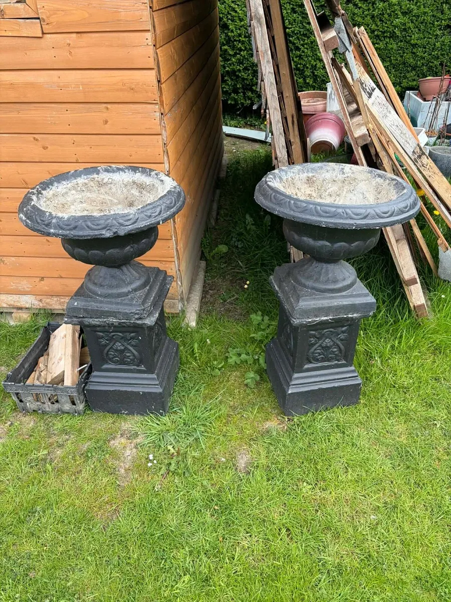 Concrete pots garden - Image 1