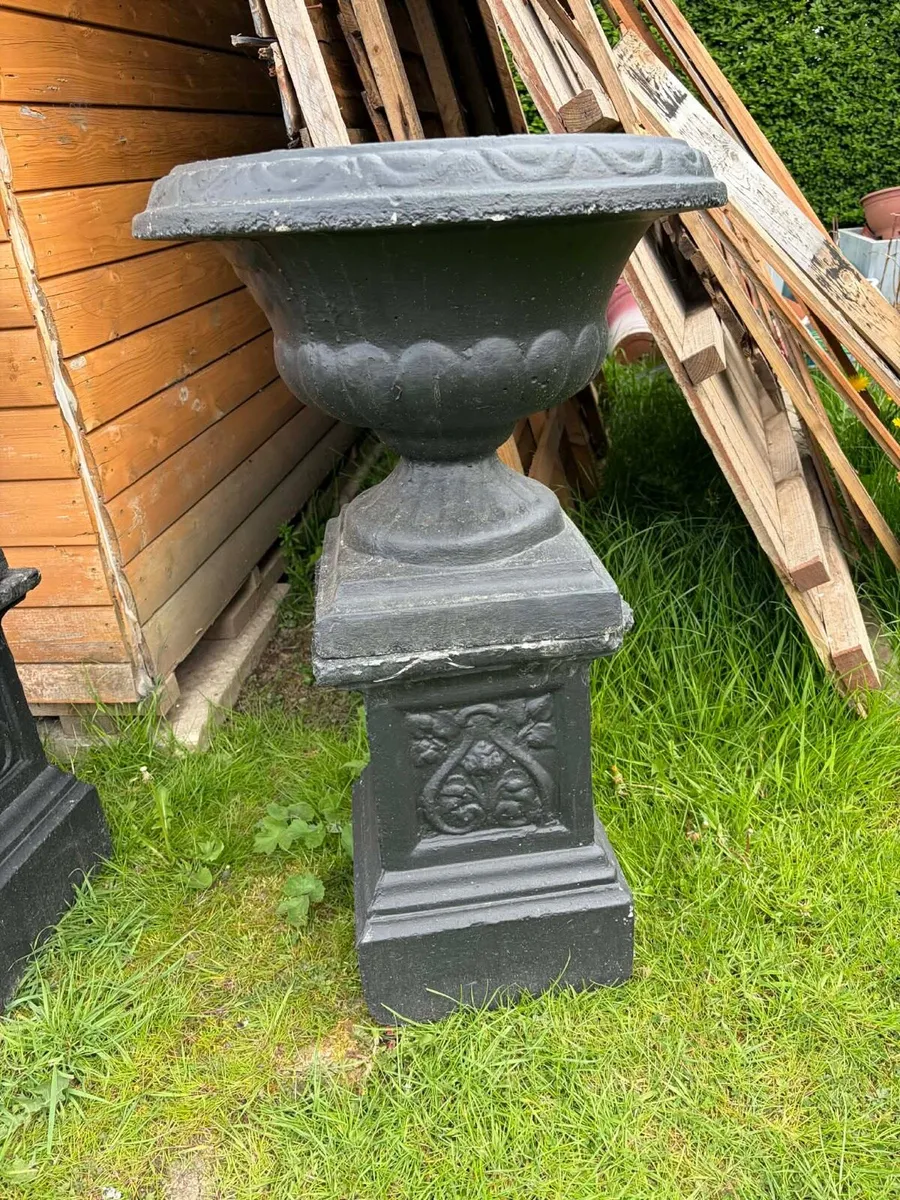 Concrete pots garden - Image 2