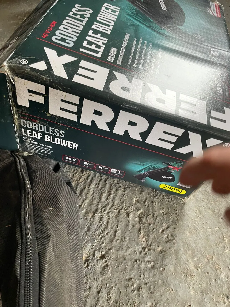 Cordless Leaf Blower - Image 1