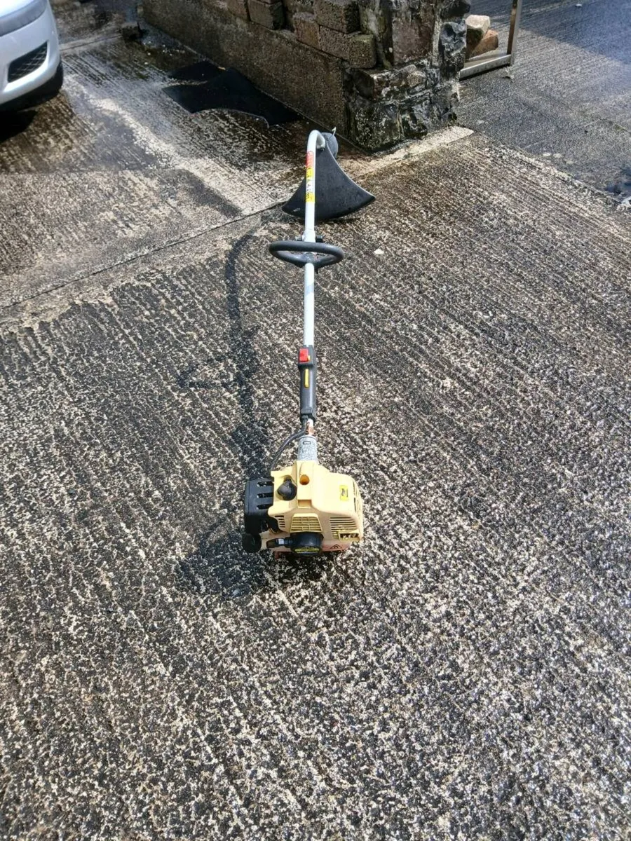 Strimmer - Image 1