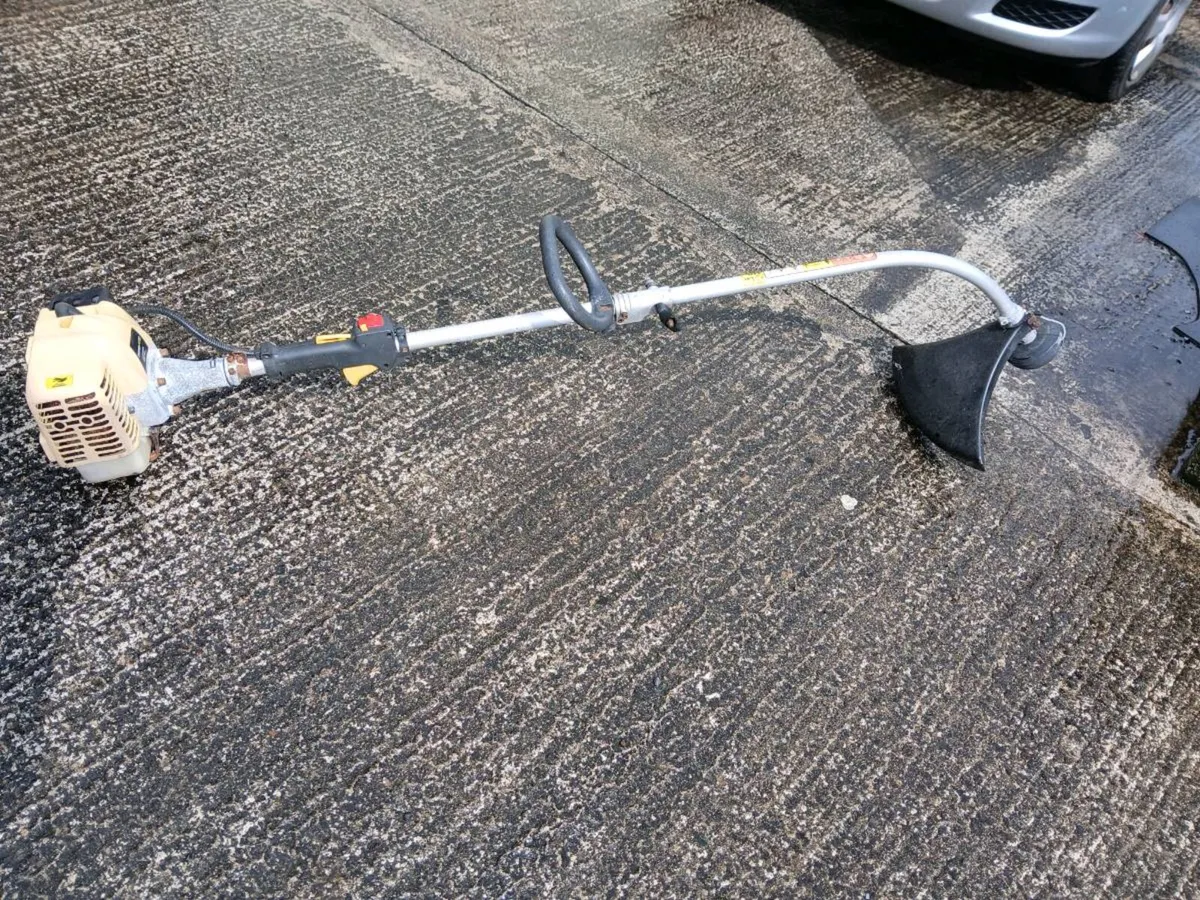 Strimmer - Image 2