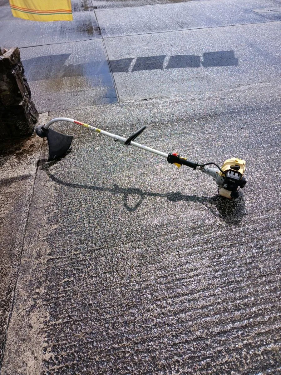 Strimmer - Image 3