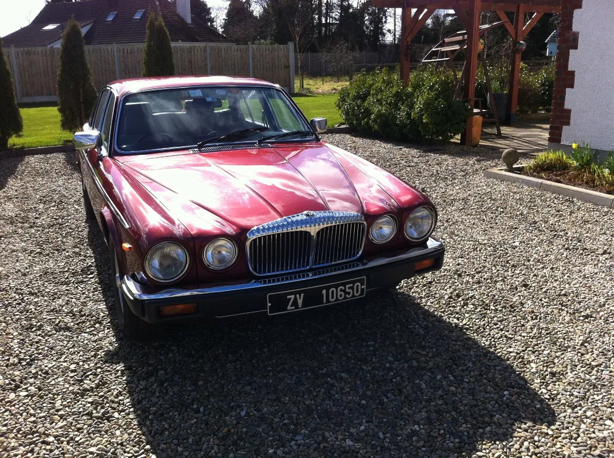 Daimler 1983 - Image 2