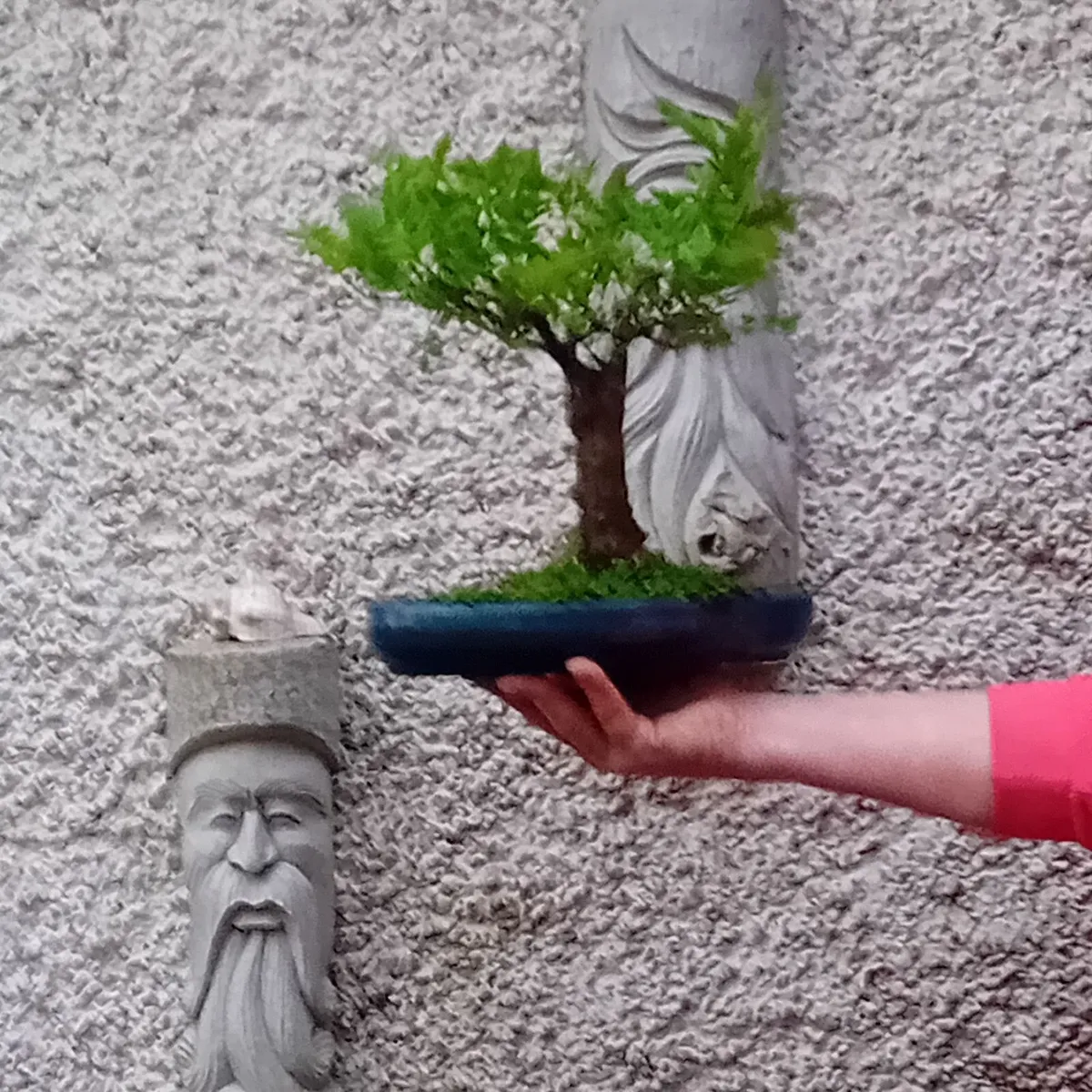 Bonsai - Image 2