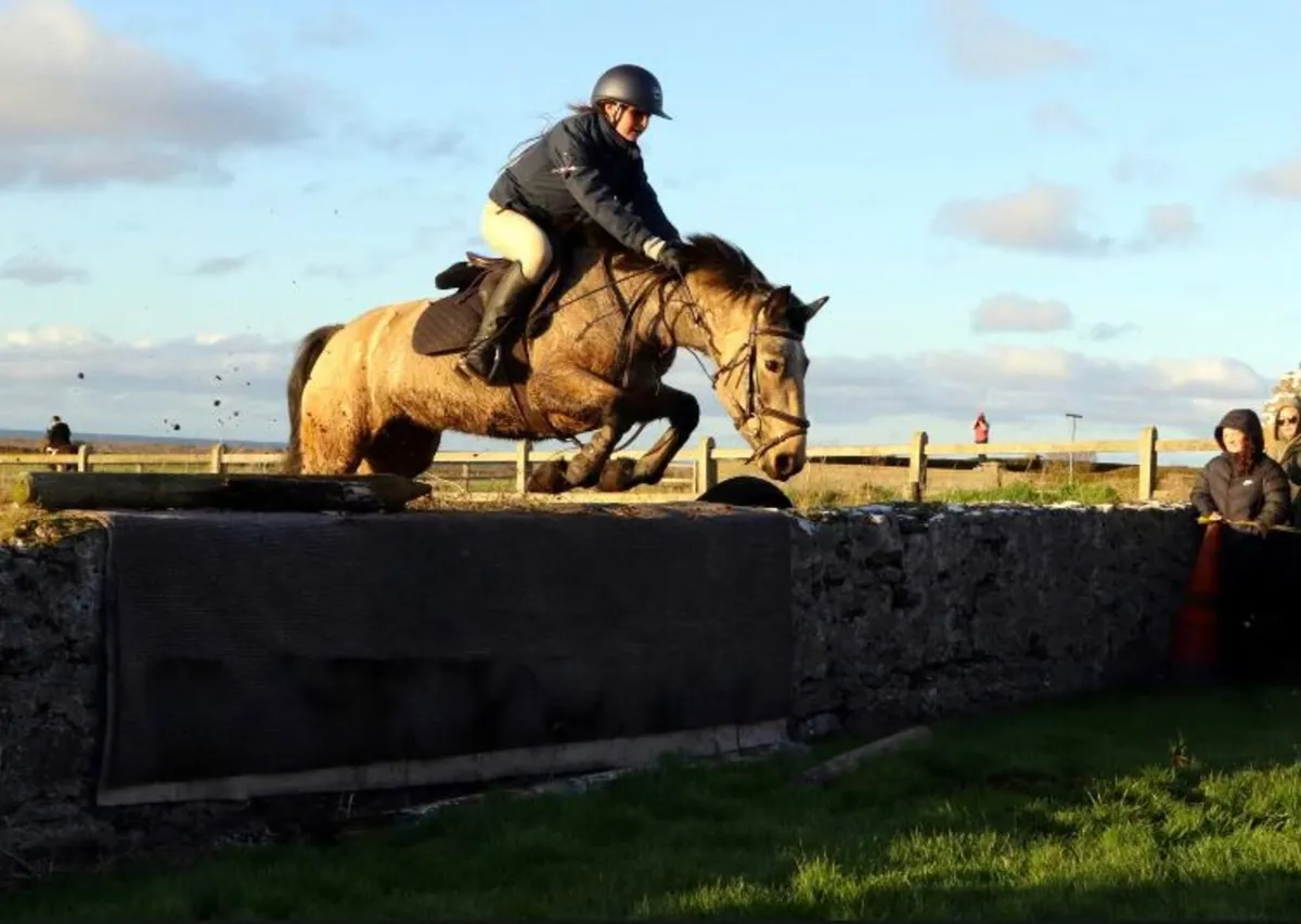 Lot 102 GORESBRIDGE 6th May: 6 yr 138 dun mare - Image 1