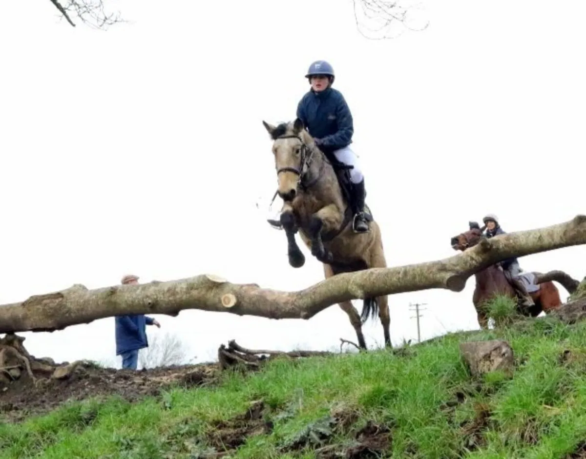 Lot 102 GORESBRIDGE 6th May: 6 yr 138 dun mare - Image 4