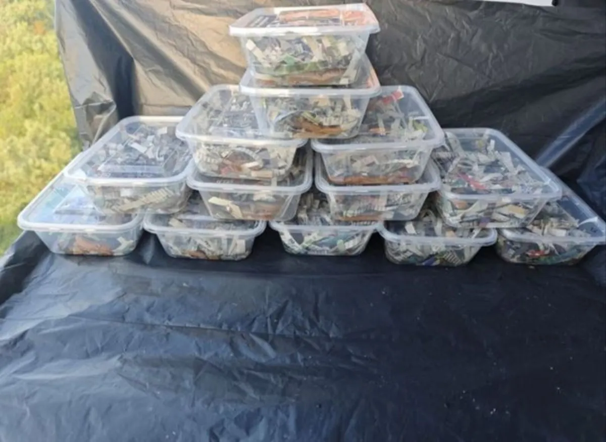 Ragworms for sea fishing - Image 2