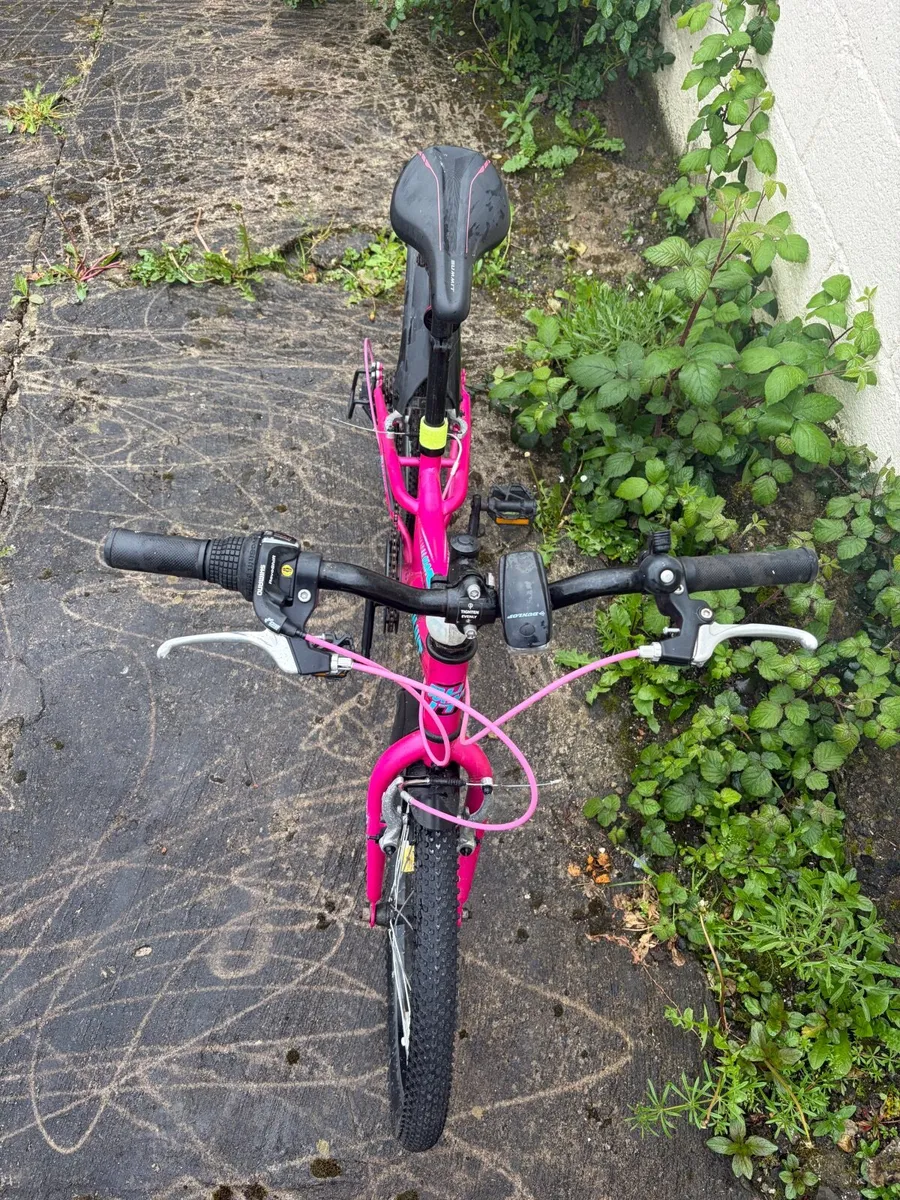 Bike - Image 1
