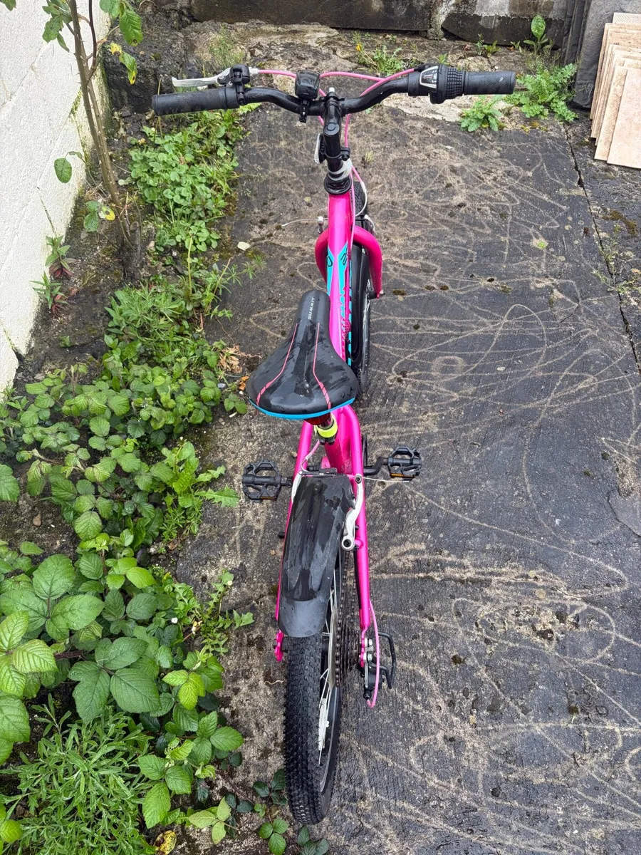 Bike - Image 2
