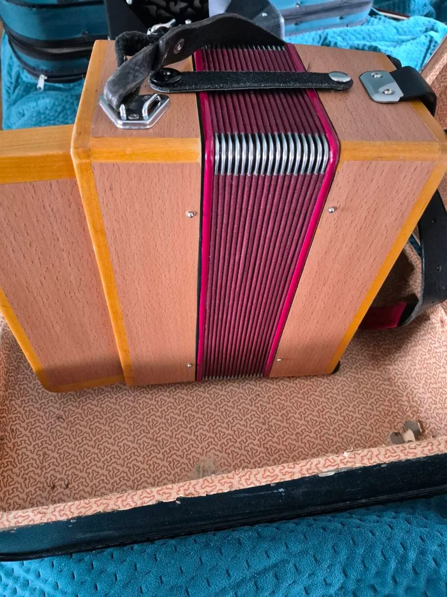 B/c accordion - Image 2
