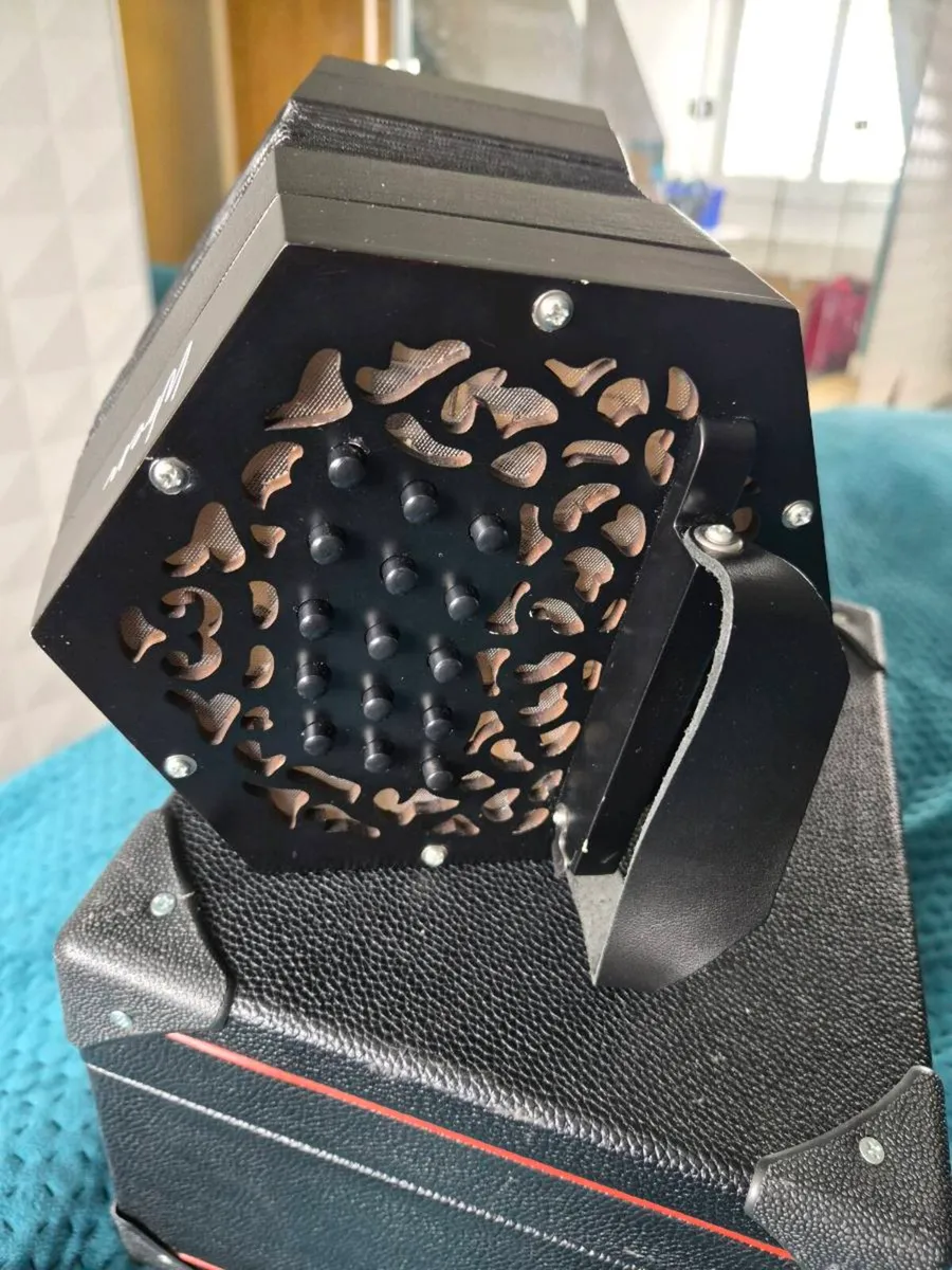 Mcneela wren concertina - Image 3