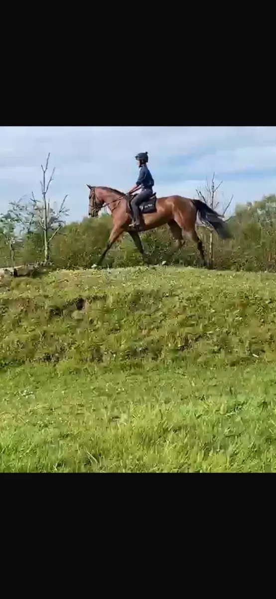 15.2 TB Mare - Image 1