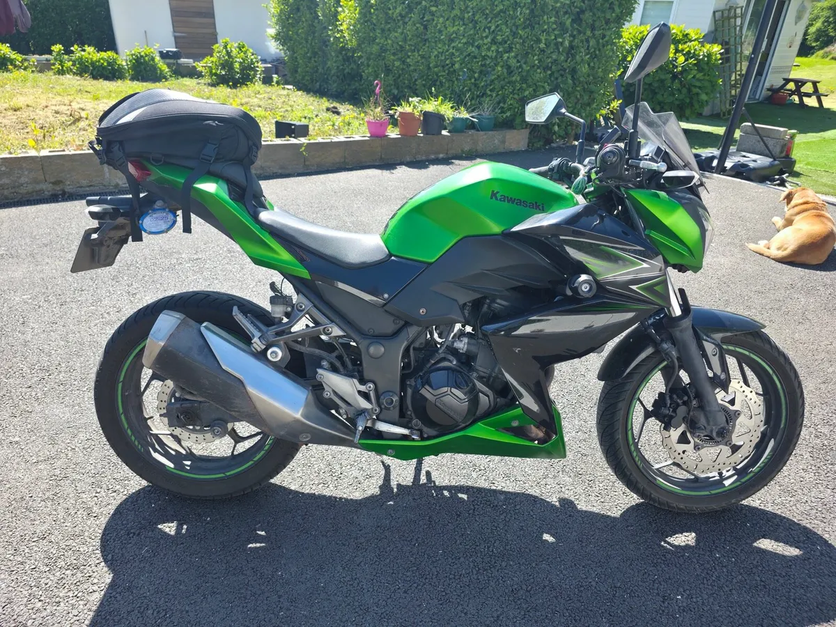 Kawasaki Ninja - Image 3