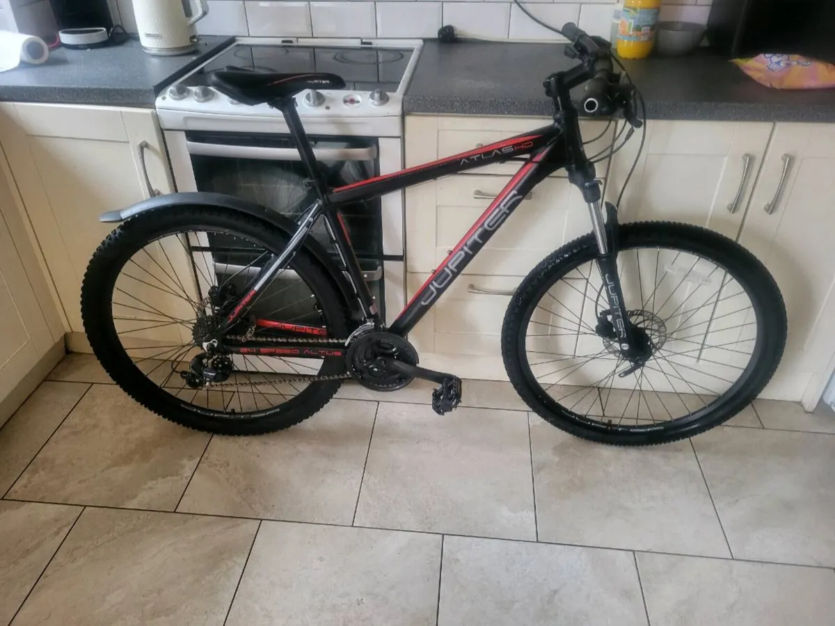 Mountain bike - Image 1