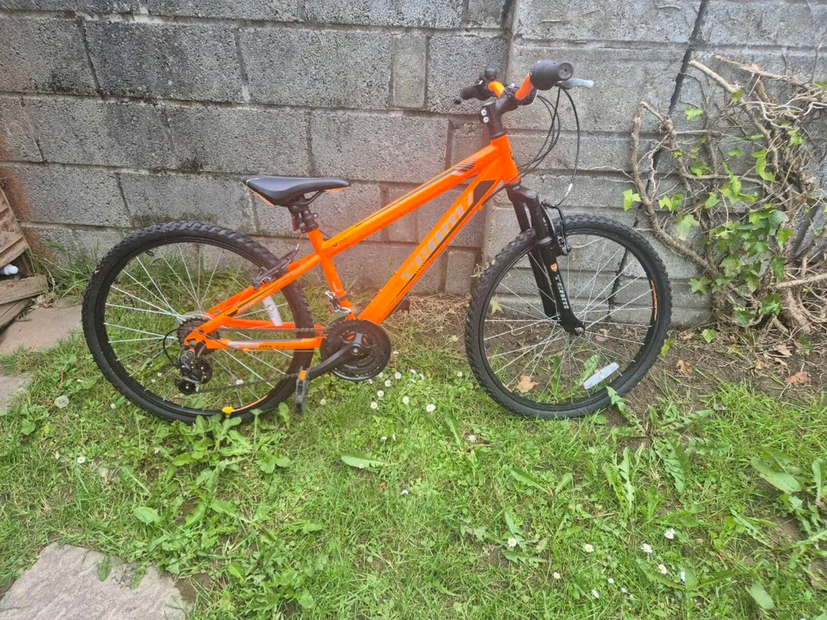 20" bike