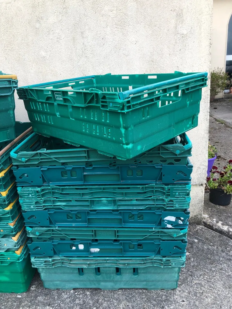 Storage  Crates - Image 3