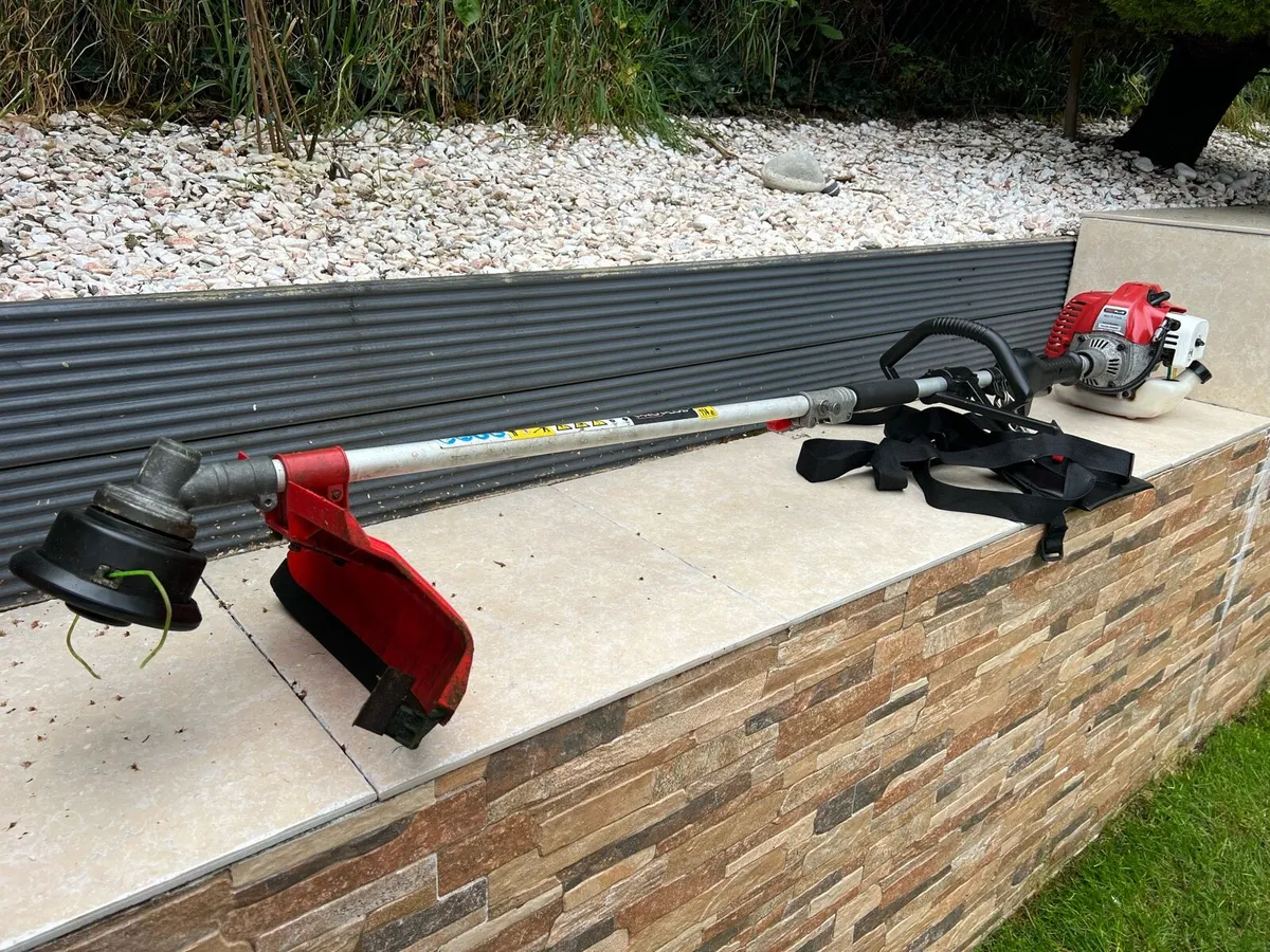 Grass strimmer - Image 1
