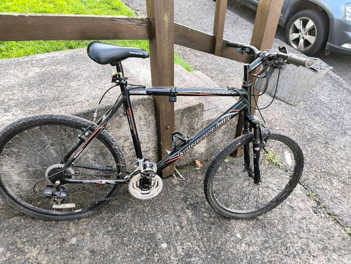 3 bikes - Image 2