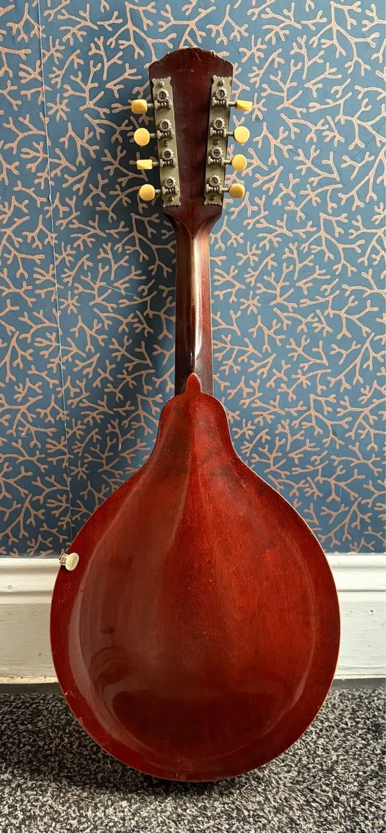 Gibson Style A1 Mandolin - Image 2