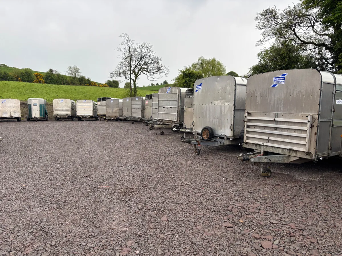 Ifor williams cattle trailers (choice) - Image 2