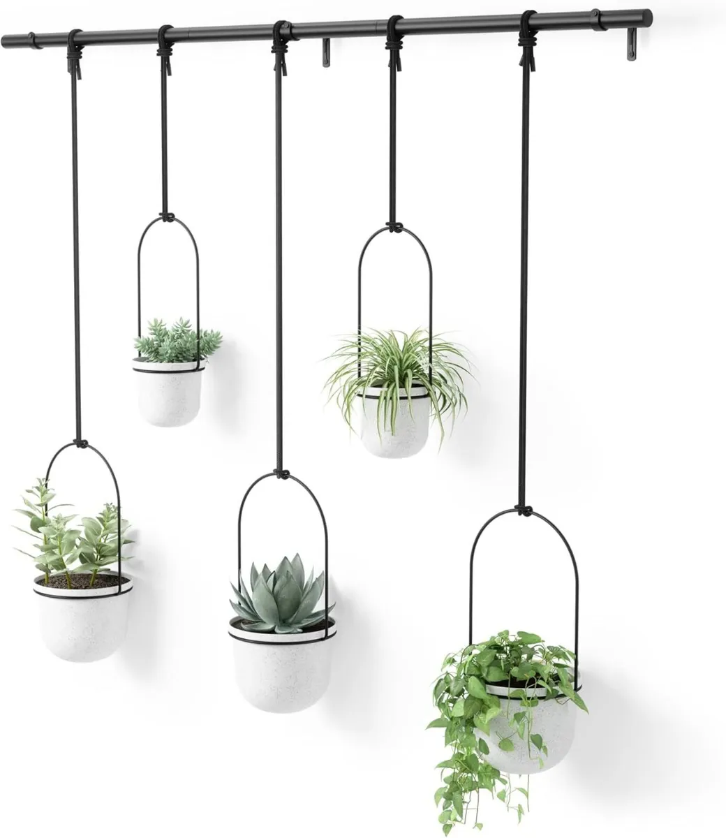 Triflora Hanging Planter for Window Indoor Herb - Image 1