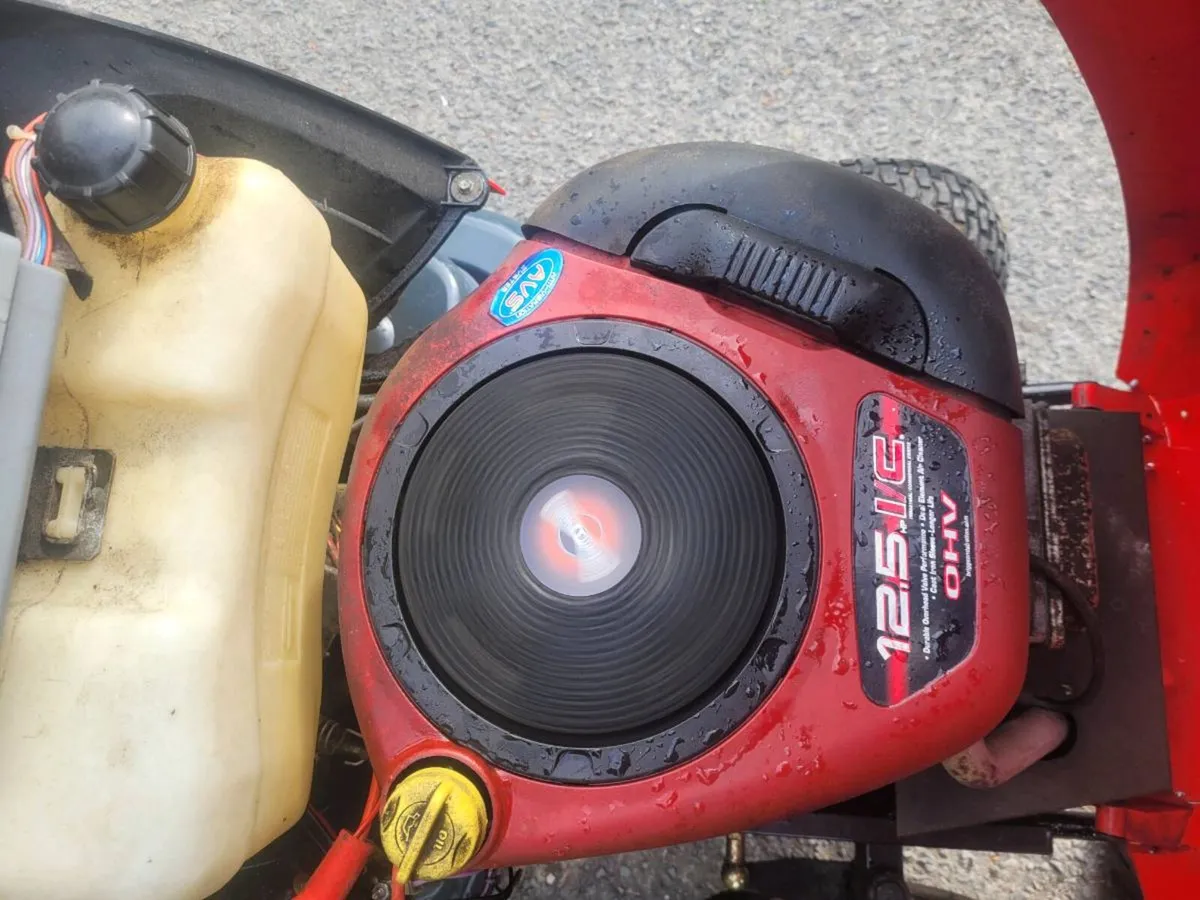 Castlegarden lawnmower - Image 3