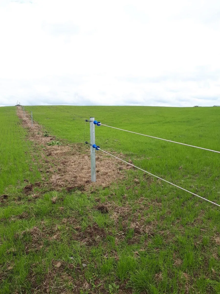 Fencing Contractor - Image 4