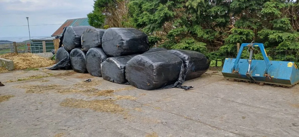 Round bales silage