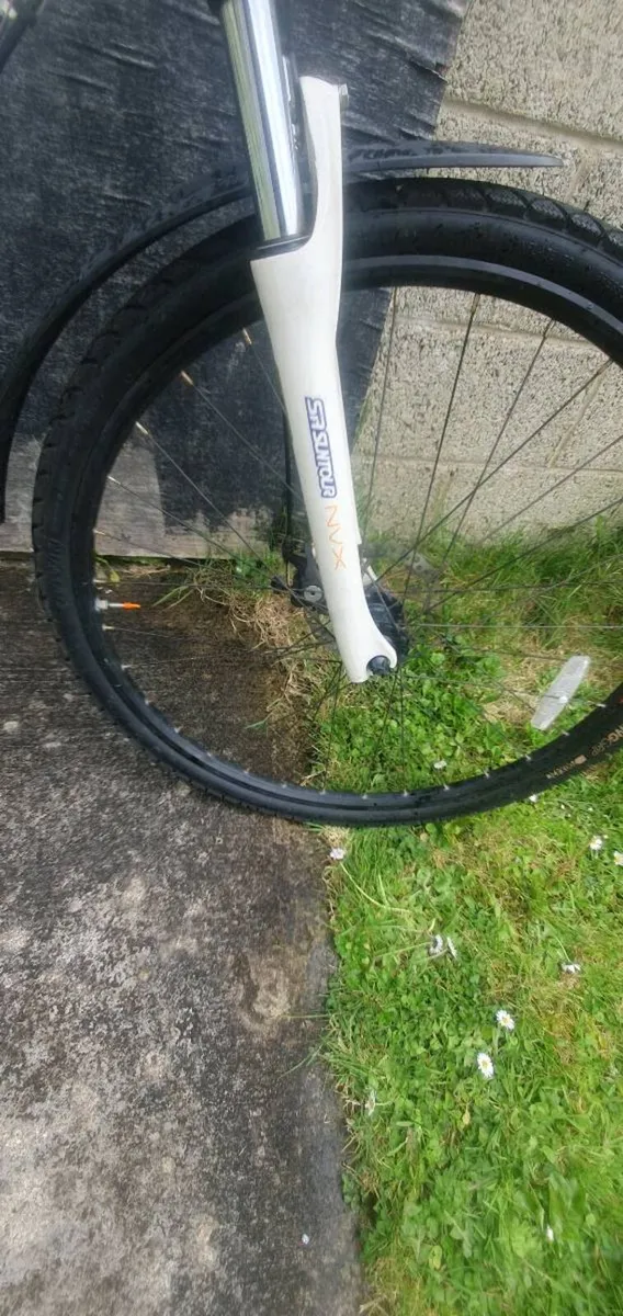 Bike - Image 3