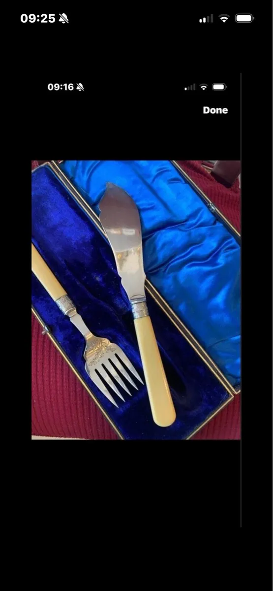 Antique Bone Handle Fish Serving Set - Image 4