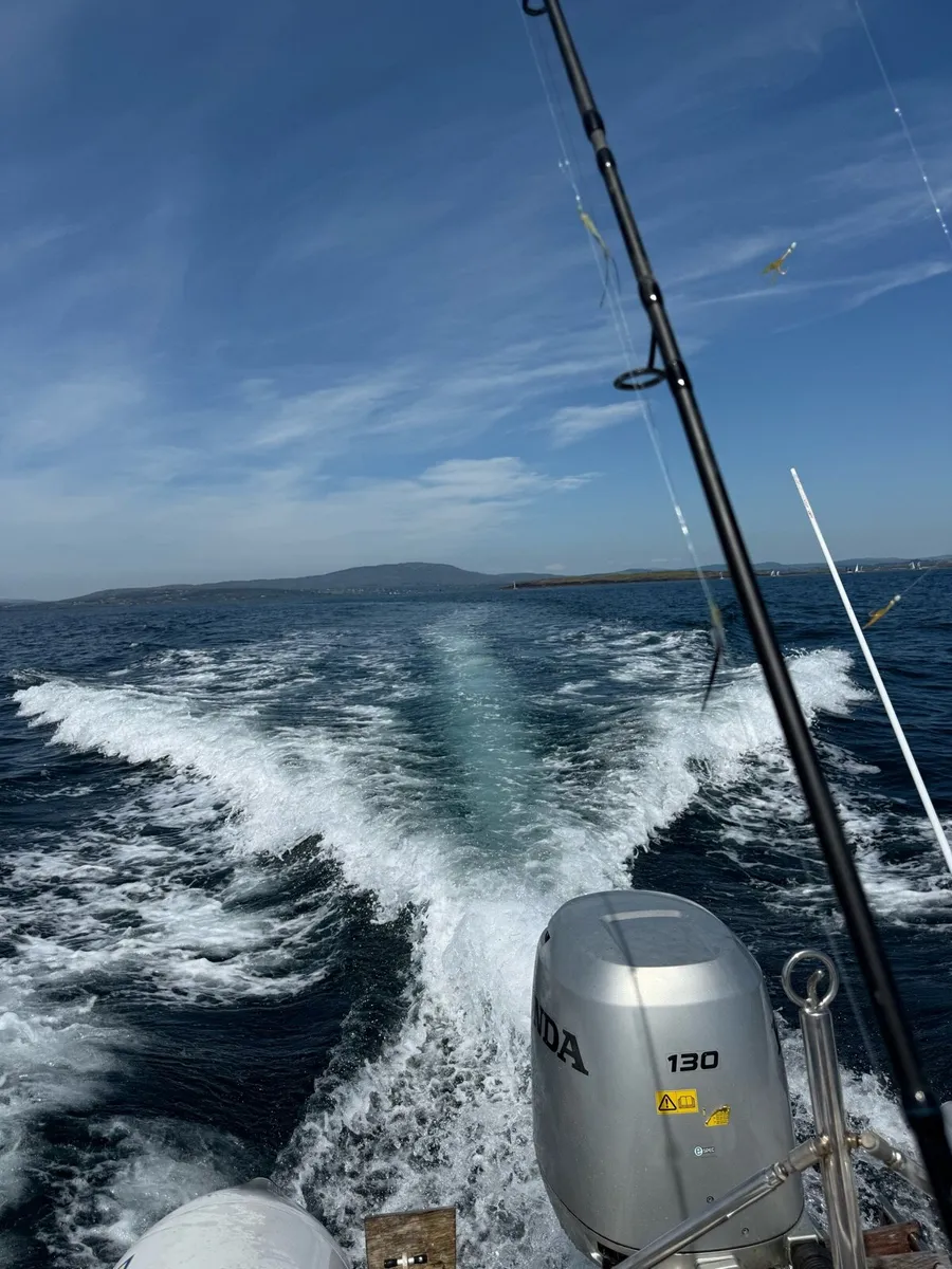Zodiac Pro 6.5 meter RIB - 130 Hp Honda - 2005 - Image 3