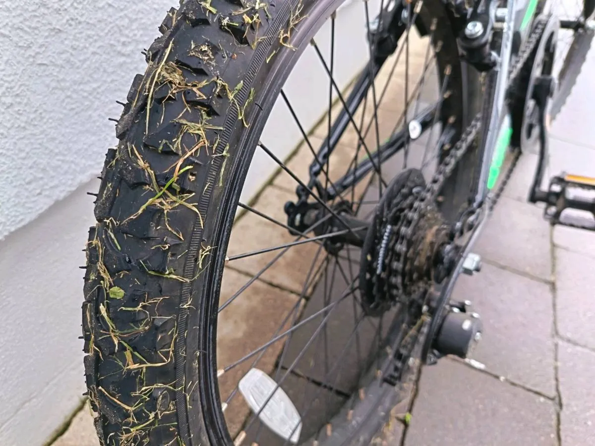 Bike - Image 2