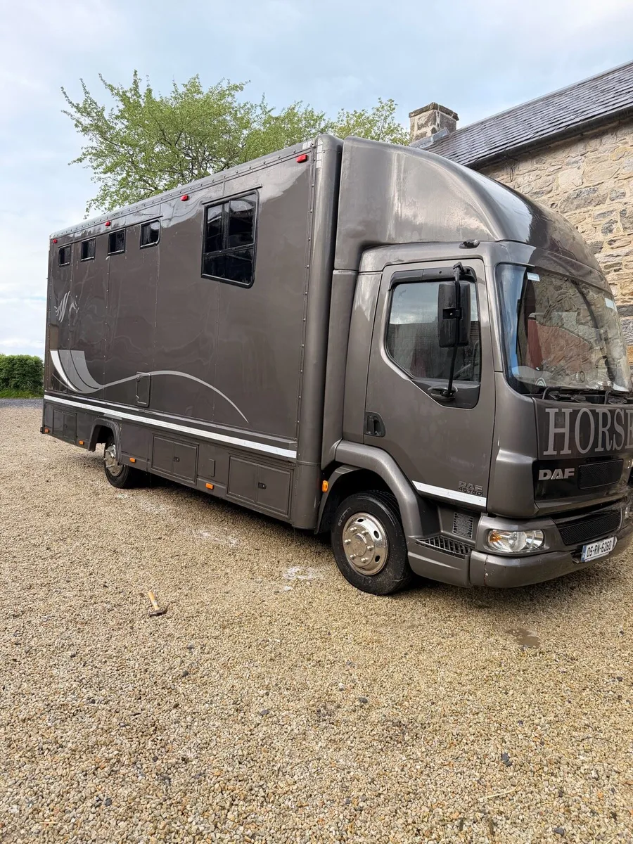 Daf L45 Horse Truck 2005 - Image 4