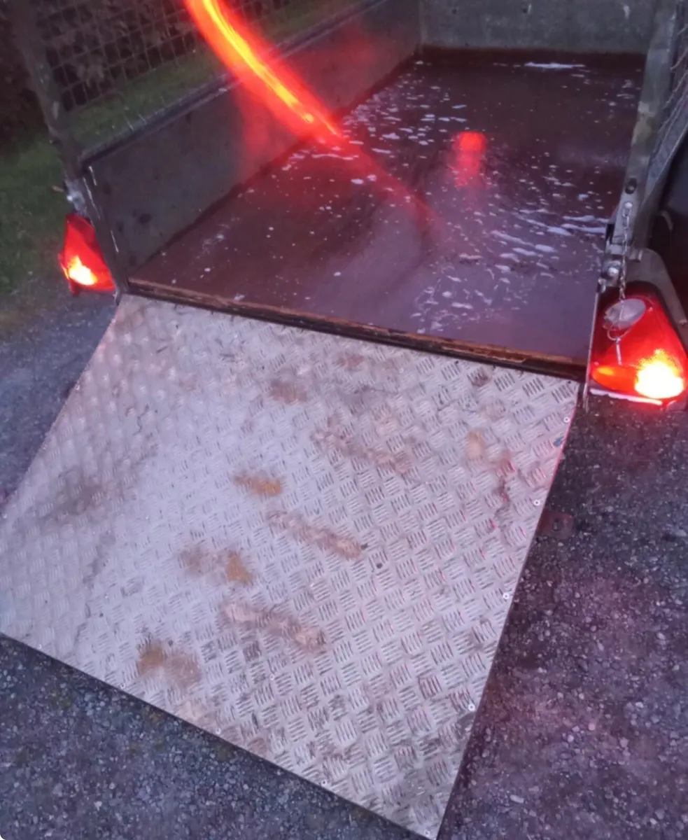 Mesh Trailer P6e Ifor Williams - Image 3