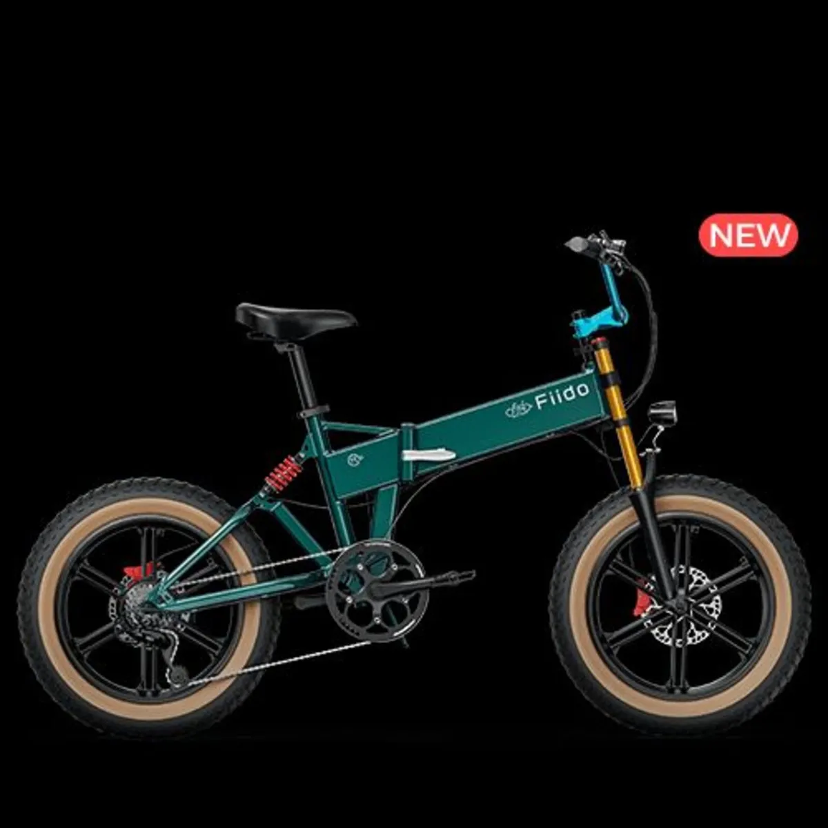 Fiido M1 Pro Electric Bike
